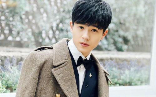 姓张的男单身明星,星光熠熠，独领风骚