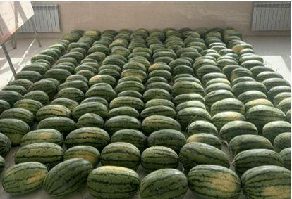 阜阳吃瓜最近新闻,揭秘背后真相与网络舆论风暴