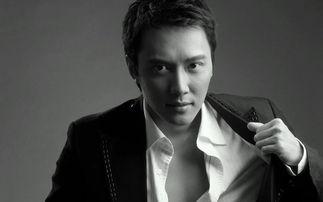 大陆电影明星男,大陆电影明星风采录