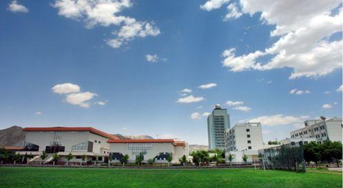 汉江师范明德阁吃瓜,一场别开生面的“吃瓜”之旅