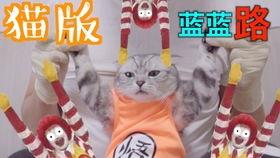 明星高音之王,揭秘明星“高音之王”的传奇之路