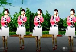 青岛广场舞网红淼淼,舞动青春，引领潮流