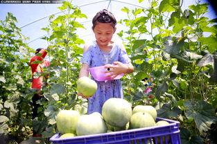 清新吃瓜铺,揭秘娱乐圈那些鲜为人知的幕后故事