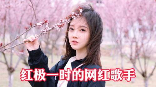 从前我一定是网红歌手,我的音乐梦想之旅