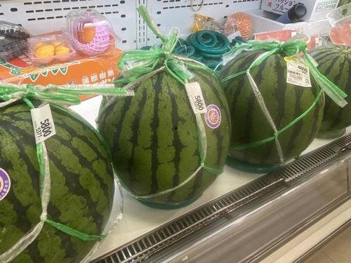 吃瓜仙儿,揭秘娱乐圈背后的那些事儿