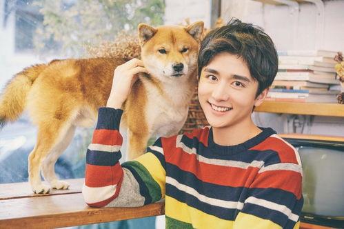 张新成网红,从网红到明星的蜕变之路