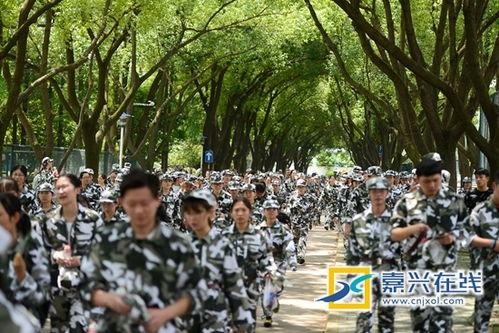 娱乐吃瓜军训,青春记忆里的酸甜苦辣